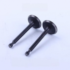 Клапана на мотопомпа Бригадир МП-2Б (впускной и выпускной)