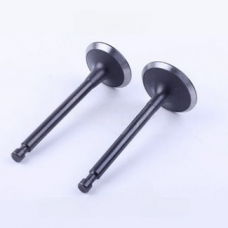 Клапана на мотопомпу Sadko WP-100S (впускной и выпускной)